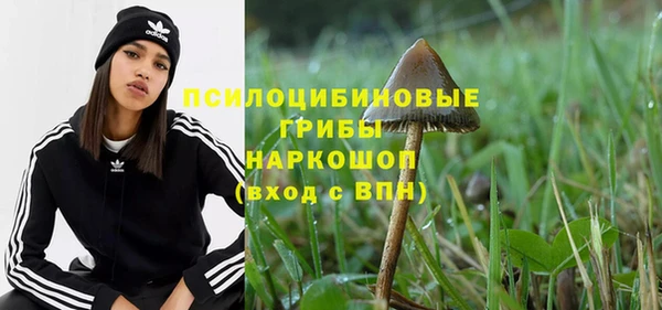 скорость Абаза