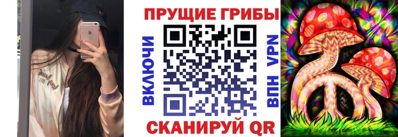 Псилоцибиновые грибы Psilocybe  Благовещенск 